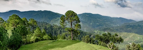 Dağların güzel manzarası