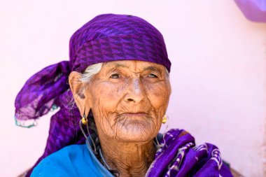 Geleneksel giysiler içindeki son sınıf bir kadının portresi.