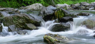 Ormanda güzel bir şelale