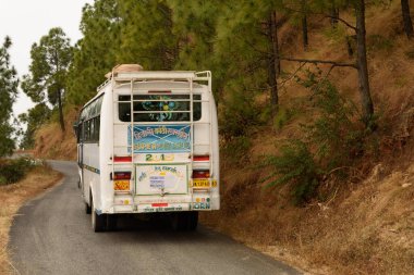 Otobüs ormanda, yolda park halinde.
