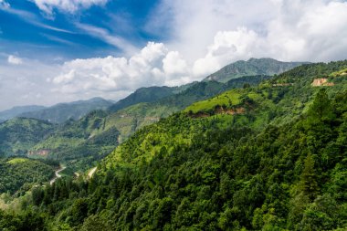 Yeşil ağaçlı güzel dağ manzarası 
