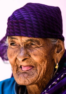 Geleneksel Hint kıyafetleri içindeki son sınıf bir kadının portresi.