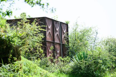 Tropik bahçedeki terk edilmiş eski paslı bina.