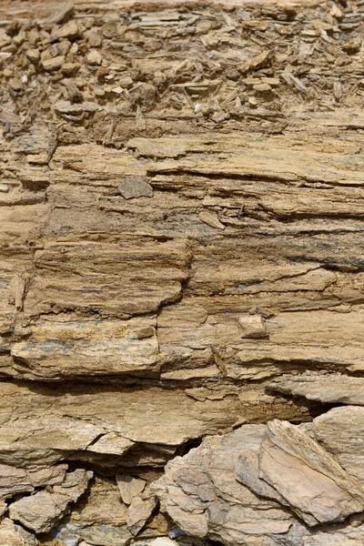 Closeup Brown Wooden Board Stone Surface — Stock Photo, Image