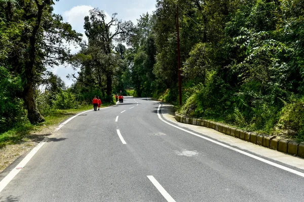 Strada Nel Bosco — Foto Stock