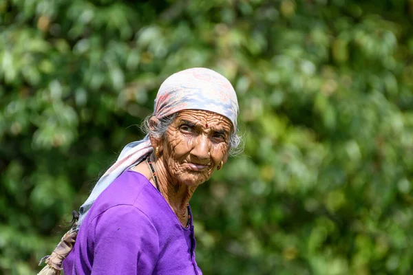 伝統衣装を着た年配の女性の肖像画です — ストック写真