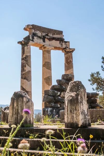 Tholos-templet i Delfi — Stockfoto