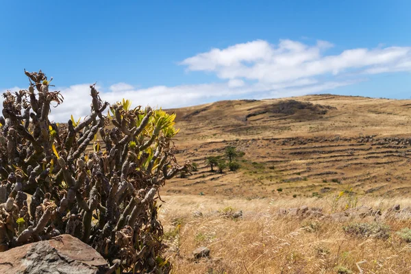 Wiejski krajobraz na La Gomera — Zdjęcie stockowe