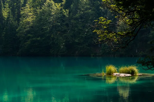 Горное озеро с небольшим островом — стоковое фото