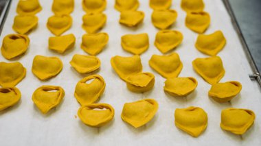 Freshly Made Golden Tortellini Pasta Arranged in Rows on a White Surface Ready for Cooking