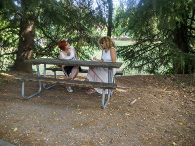 İki kadın parkta piknik masasında oturmuş arkadaşça bir şeyler tartışıyorlar.