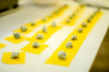 Lezzetli Ev Yapımı Ravioli Hamur Kareleri Parlak Mutfak Ayarlarında Pişirmeye Hazır Savory Doldurmasıyla Taze Hazırlandı