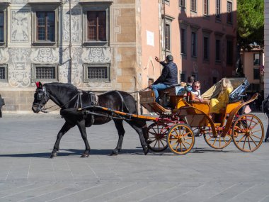 Pisa, İtalya - 16 Ekim 2025 At geleneksel ahşap bir arabayı yolcularla çekiyor, güneşli Piazza dei Cavalieri, Pisa 'da bir tur deneyimi sunuyor