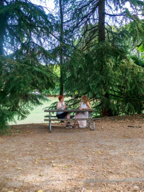Piknik masasında rahat bir sohbetten zevk alan iki kadın güneşli bir öğleden sonra güneşli bir parkta yemyeşil ağaçlarla çevrili bir yerde arkadaşlıklar ve açık hava aktiviteleri sergiliyorlar.