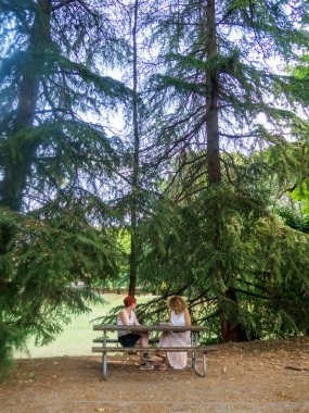 İki kadın, parktaki bir bankta otururken sakin bir sohbetin tadını çıkarıyorlar. Açık hava manzaralı büyük yeşil ağaçların gölgesinde. Rahatlamayı ve huzurlu anları teşvik ediyorlar.