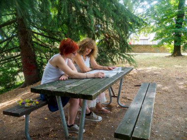İki genç kadın yeşil ağaçlar ve benekli güneş ışığıyla çevrili bir parkta, bir piknik masasında birlikte çalışıyorlar.