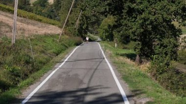 Adam büyük danua köpeğiyle dolambaçlı bir kır yolunda geziyor yeşil ağaçları, altın tarlaları ve teraslı üzüm bağlarını geçiyor güneşli bir günde, açık hava arkadaşlığı ve refahın tadını çıkarıyor, yavaş çekim.