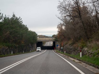 Trieste, İtalya - 21 Kasım 2025 Bir altgeçit ve karayolu köprüsüne doğru gidiyor, yolda beyaz bir minibüs, sonbahar ağaçları ve Avrupa 'yı temsil eden bulutlu bir gökyüzü ile çevrili.