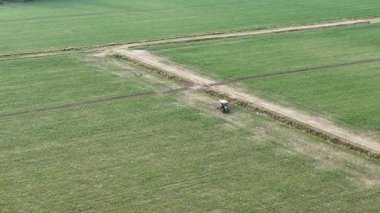 İnsansız hava aracı, mısır tarlasında kimyasal tedaviler uygulayan, yoğun tarım uygulamalarını gösteren ve kırsal ekosistemler üzerindeki gıda güvenliği etkileri hakkındaki endişeleri ortaya koyan patlama spreyli bir traktörün izini sürüyor..