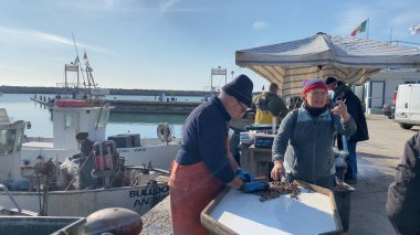 Numana, İtalya - 22 Nisan 2023 İki balıkçı, arka planda tekneler ve açık mavi gökyüzü olan hareketli bir rıhtımda taze deniz ürünleri avlıyor. Sahne sıkı çalışmayı yakalar ve...