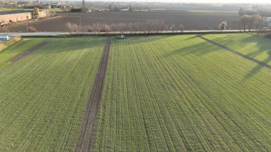 Ekin sırası olan yemyeşil tarım alanının havadan görünüşü