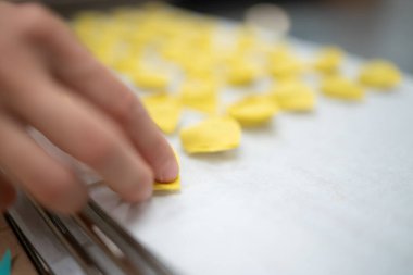 Bir kadının elleri titizlikle el yapımı tortelli, titiz bir İtalyan makarnası, temiz bir yüzeyde taze, yerel malzemeler kullanıyor.