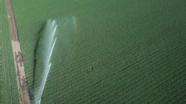 Modern tarım teknolojisi iklim dayanıklılığı için ürün hidrasyonunu ve sürdürülebilir tarım uygulamalarını güvence altına almaktadır.