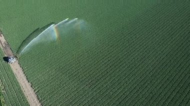 Modern sulama sistemi tarafından sulanan geniş yeşil bir alanın havadan görünüşü su yönetimi uygulamalarını gösteriyor.