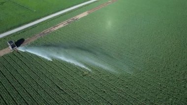 Modern tarımsal sulama sistemi geniş yeşil ekinlere su uyguluyor ve sisin içinde gökkuşağı etkisi yaratıyor.