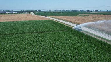 Kuru bir tarla ve yolun yanındaki yemyeşil mısır tarlasını sulayan büyük bir tarımsal sulama makinesini görüntüler.