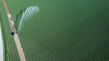 Geniş yeşil alanı sulayan, sürdürülebilir tarım ve iklim değişikliği adaptasyon stratejilerini vurgulayan bir fıskiye sisteminin havadan görüşü