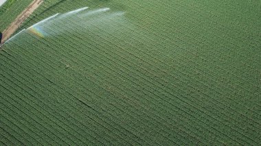 Havadan bakıldığında ürünleri sulayan, verimli su yönetimi ve tarım teknolojisini ön plana çıkaran bir fıskiye sistemi görülüyor