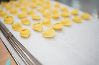 Pişirmeye ya da dondurmaya hazır, fırında pişmiş taze tortellini makarna.