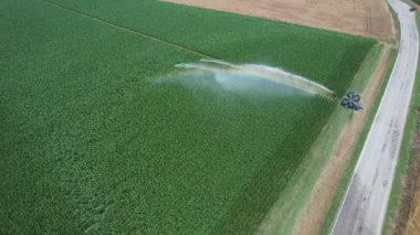 Genel bir perspektif geniş bir yeşil ekin alanını yakalar büyük bir fıskiyeden su alır, sislerin yanında soluk bir gökkuşağı görünür ve gökkuşağı efektli bir yol