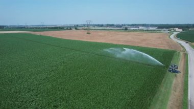 Geniş insansız hava aracı görüntüsü, açık mavi bir gökyüzünün altındaki kuru bir tarlaya zıt olarak, geniş yeşil ekinlerin sulandığı geniş bir tarla görüntüsü yakalıyor.