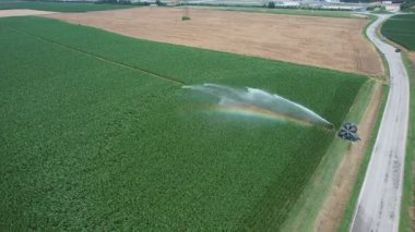Bir tarımsal sulama sistemi kurak bir tarlanın yanındaki geniş bir yeşil ekin tarlasına ve gökkuşağı etkisindeki bir yola su püskürtür.