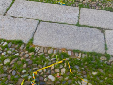 Kutlamanın ardından, renkli şeritler ve konfetilerin yeşil çimlerle karışmış büyük taşlar ve küçük çakıl taşlarından oluşan dokulu bir yola saçıldığı aşikardır.