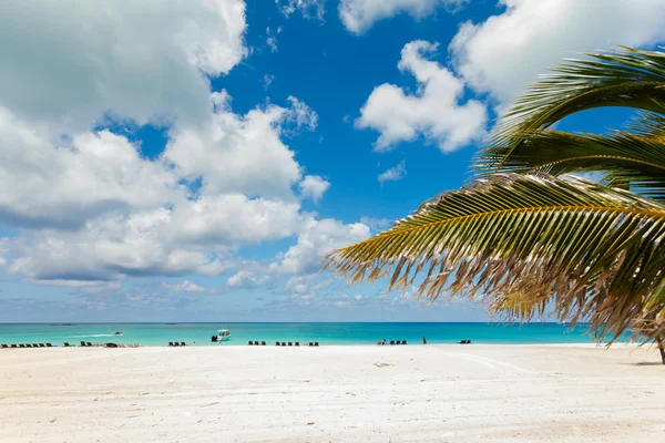 Photo of white sand beach. — Stock Photo, Image