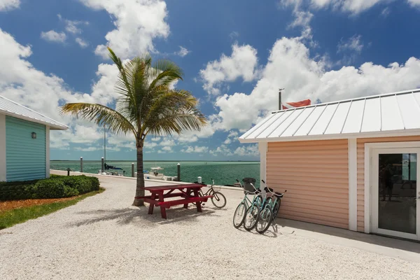 Images of bikes near the marina. — Stock Photo, Image