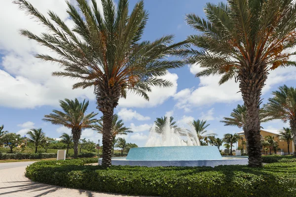 Image of palm trees around a water fountain. — Stock Photo, Image