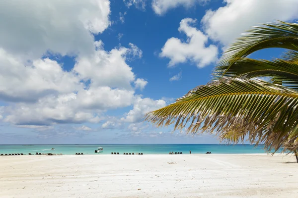 Photo of white sand beach. — Stock Photo, Image