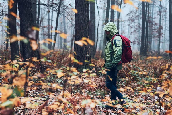 Kvinna Med Ryggsäck Vandrar Runt Skog Hösten Kall Dag Bakåt — Stockfoto