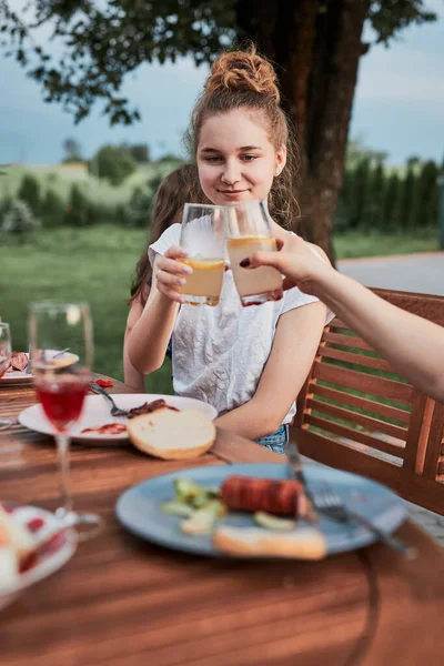 Family Making Toast Summer Picnic Outdoor Dinner Home Garden Close — Stock Photo, Image