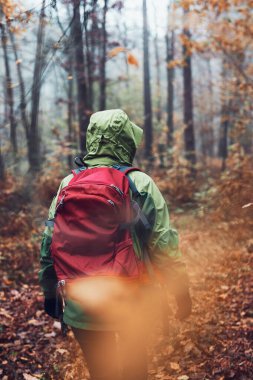Sırt çantalı bir kadın soğuk bir sonbahar gününde ormanda dolanıyor. Orman yolunda etkin bir şekilde zaman geçiren orta yaşlı aktif bir kadının geçmişe bakışı