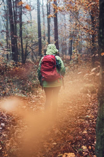 Kobieta Plecakiem Wędrująca Lesie Zimny Jesienny Dzień Powrót Widok Tyłu — Zdjęcie stockowe