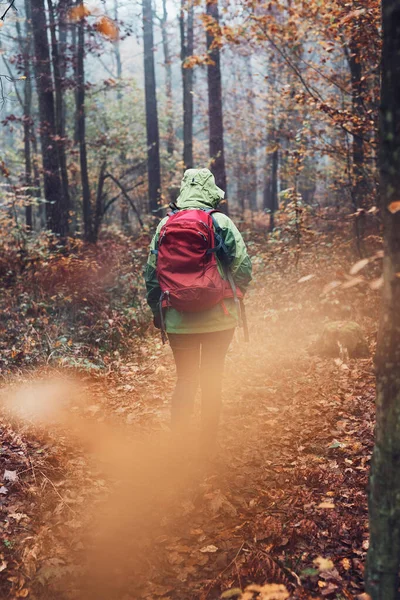 Donna Con Zaino Vagando Una Foresta Autunno Giorno Freddo Vista — Foto Stock