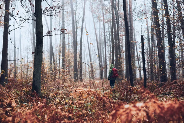 Femme Avec Sac Dos Errant Dans Une Forêt Par Temps — Photo