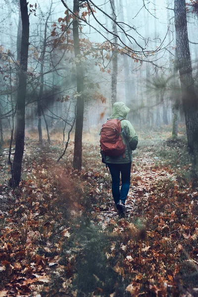 Femme Avec Sac Dos Errant Dans Une Forêt Par Temps — Photo