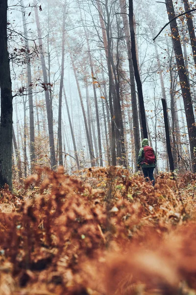Femme Avec Sac Dos Errant Dans Une Forêt Par Temps — Photo