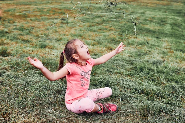 Маленька Дівчинка Грає Травою Насолоджуючись Літнім Днем Щаслива Дитина Грає — стокове фото